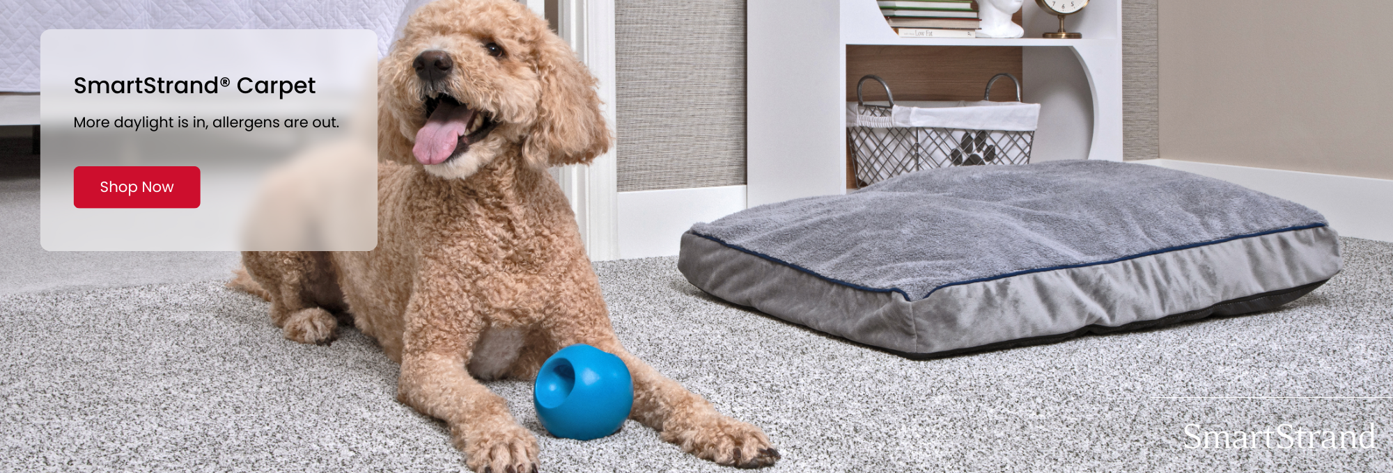 Shop SmartStrand flooring by Mohawk