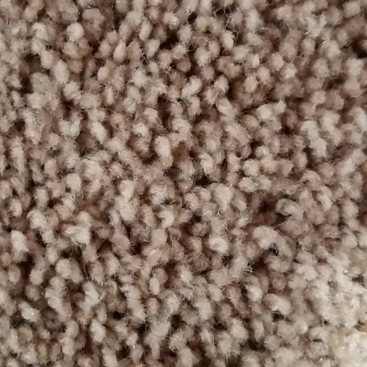 48 oz. EverStrand Soft Appeal Pet Proof Carpet Swatch