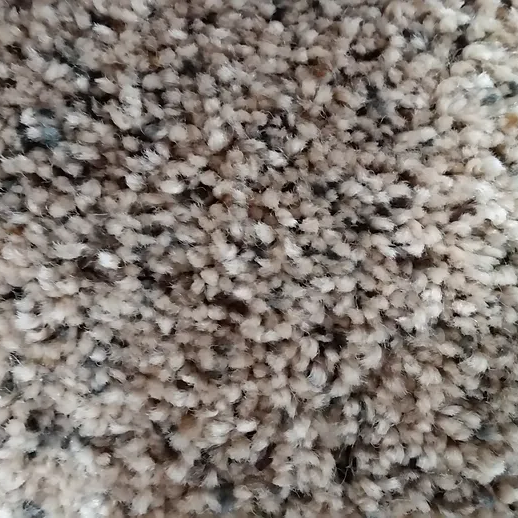 48 oz. EverStrand Soft Appeal Pet Proof Carpet Swatch